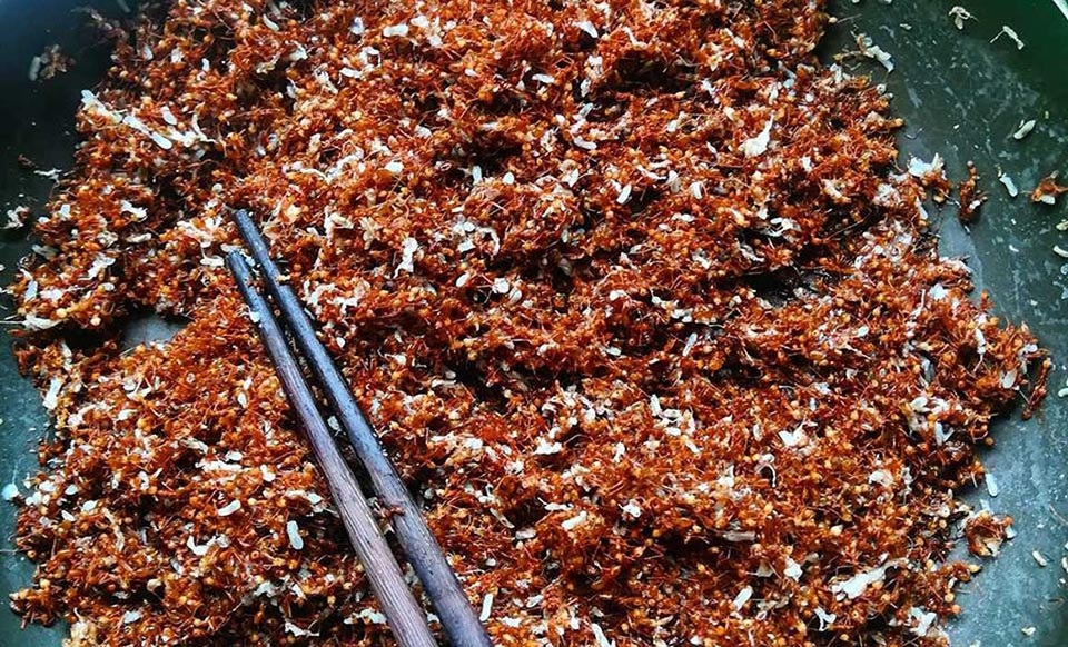 Muối kiến vàng - Ảnh 01