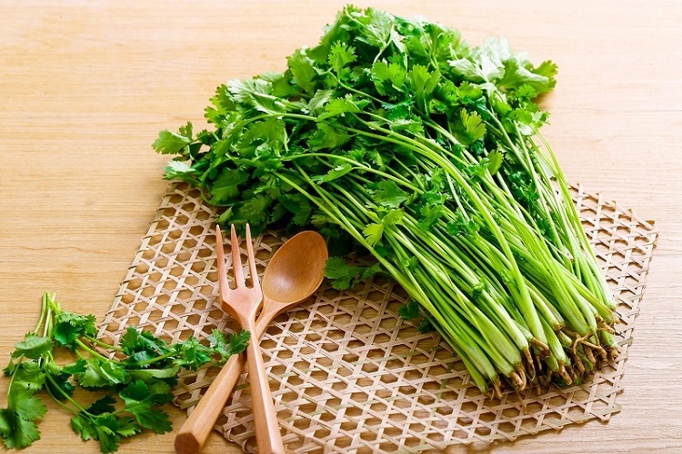 Rau mùi 1