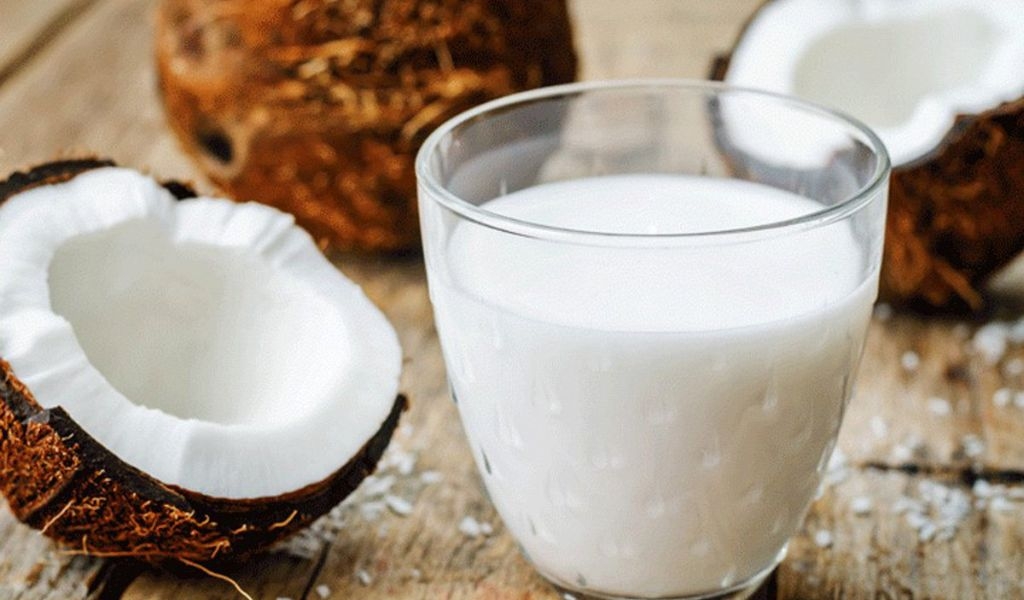 Công dụng của sữa dừa, cách làm và cách bảo quản lâu dài, đảm bảo chất lượng 3