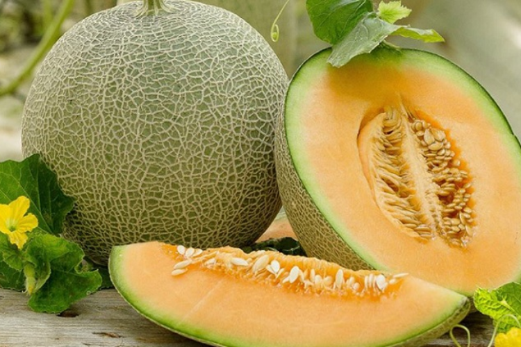 cách làm sữa chua dưa lưới 1