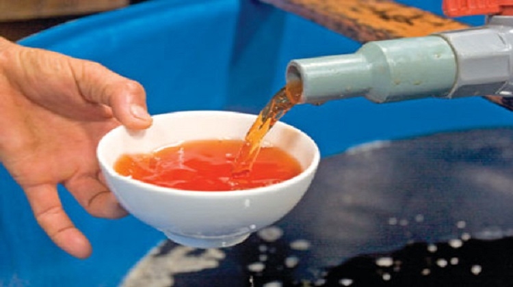 Trùn quế làm nước mắm