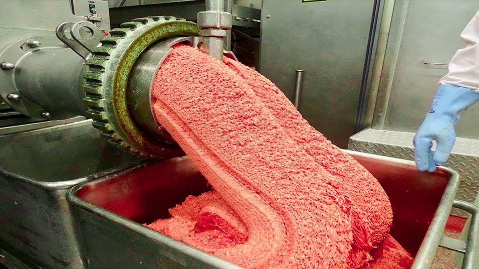 Máy xay thịt công nghiệp - Ảnh 02