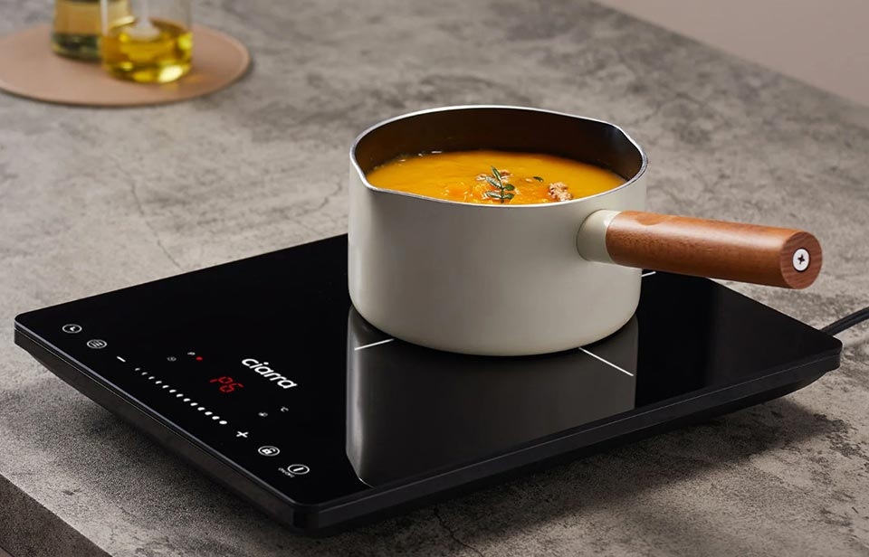 Bếp điện từ đơn