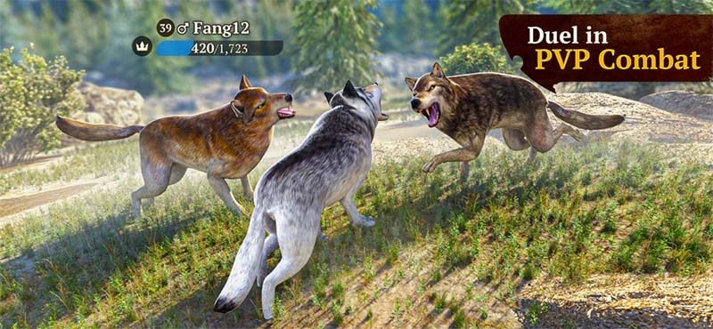the wolf 2