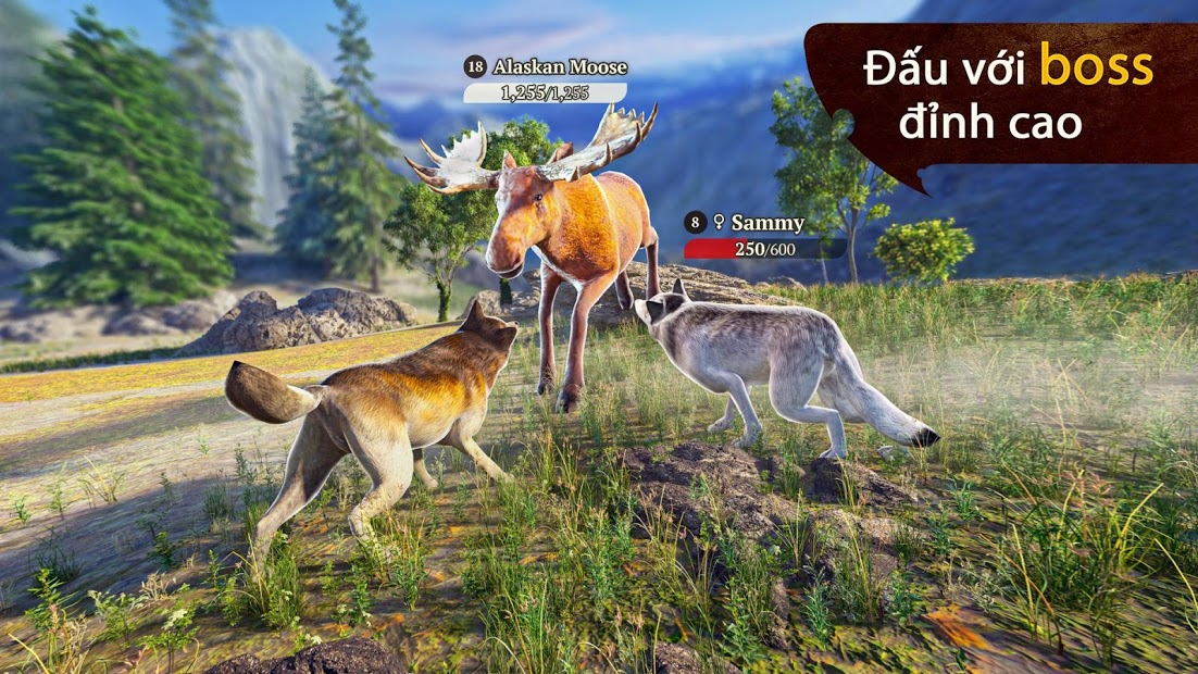 the wolf 5