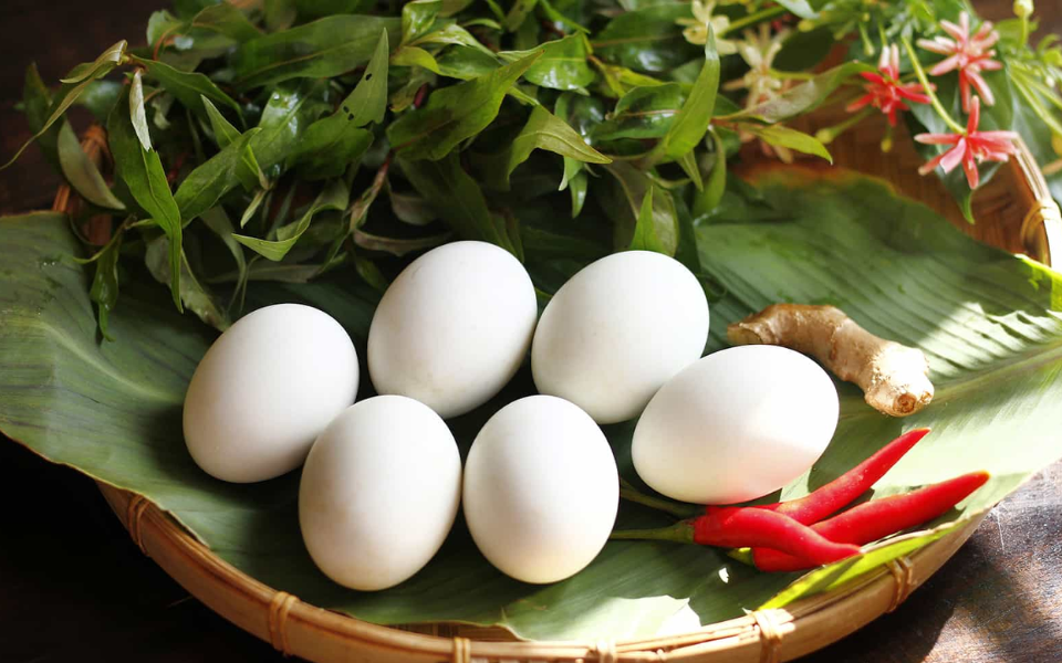 Hướng dẫn nhận biệt trứng bị hỏng