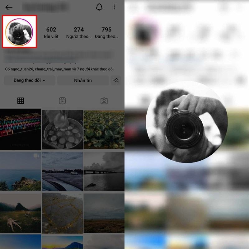 xem ảnh đại diện Instagram - hình 2