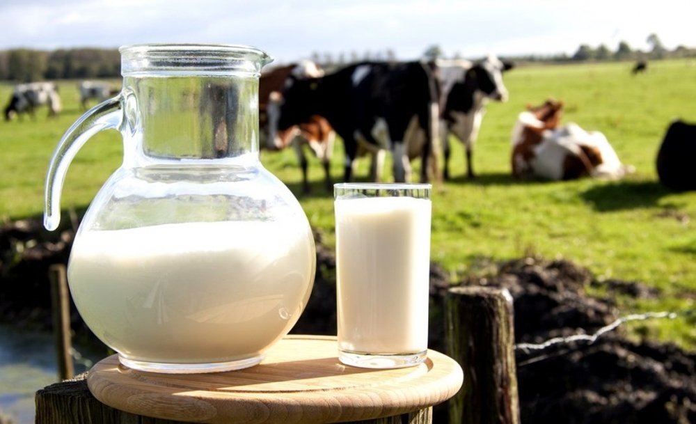 Tìm hiểu sự khác biệt giữa sữa thanh trùng và tiệt trùng 3