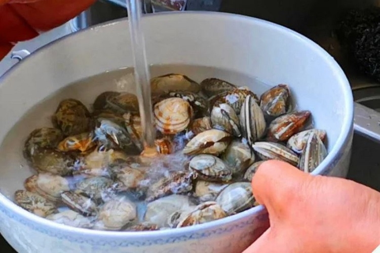 cách ngâm nghêu sạch cát 6