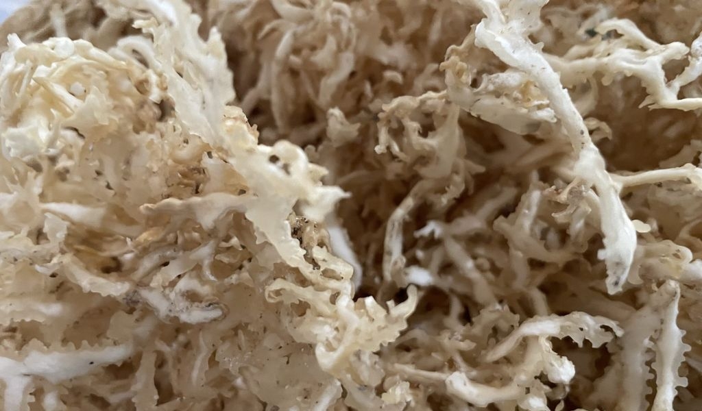 Cách nấu rau câu sợi khô giòn sần sật đơn giản giải nhiệt mùa hè, ai ăn cũng thích 1