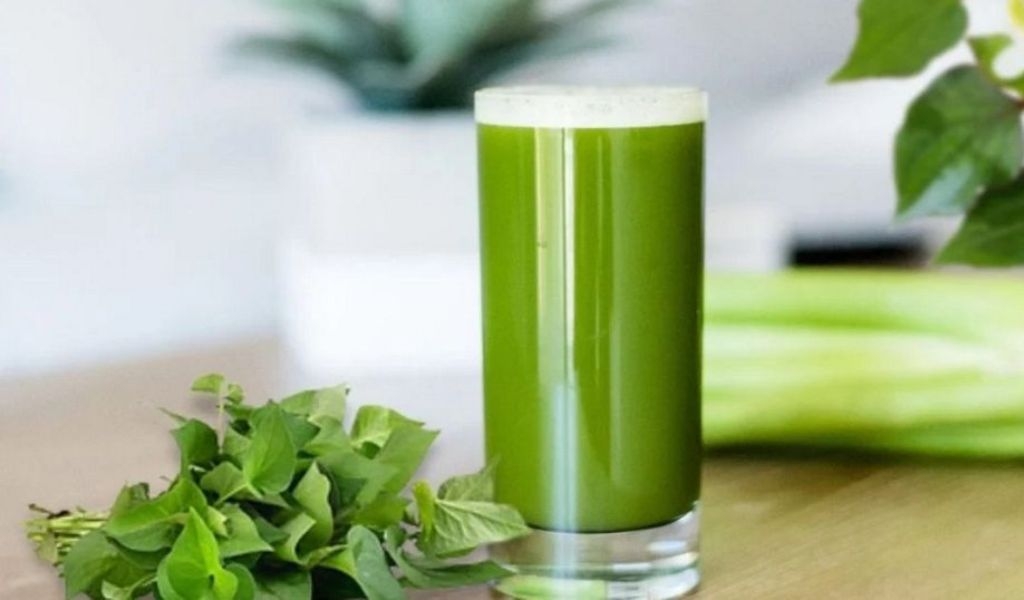 Cách làm mặt nạ rau diếp cá để tủ lạnh tươi lâu và lưu ý khi sử dụng đảm bảo an toàn 4