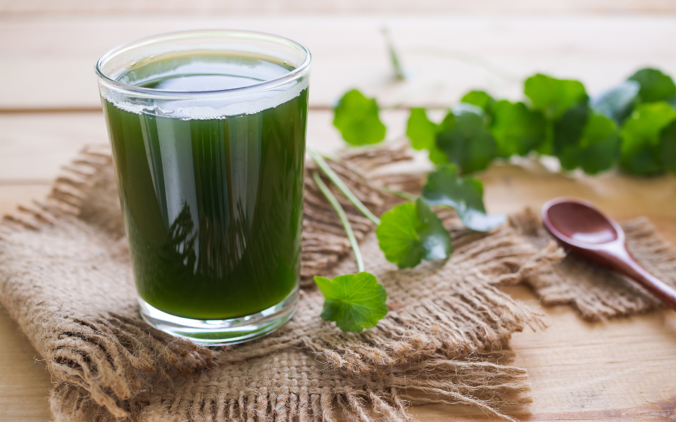Một số lưu ý khi sử dụng rau má
