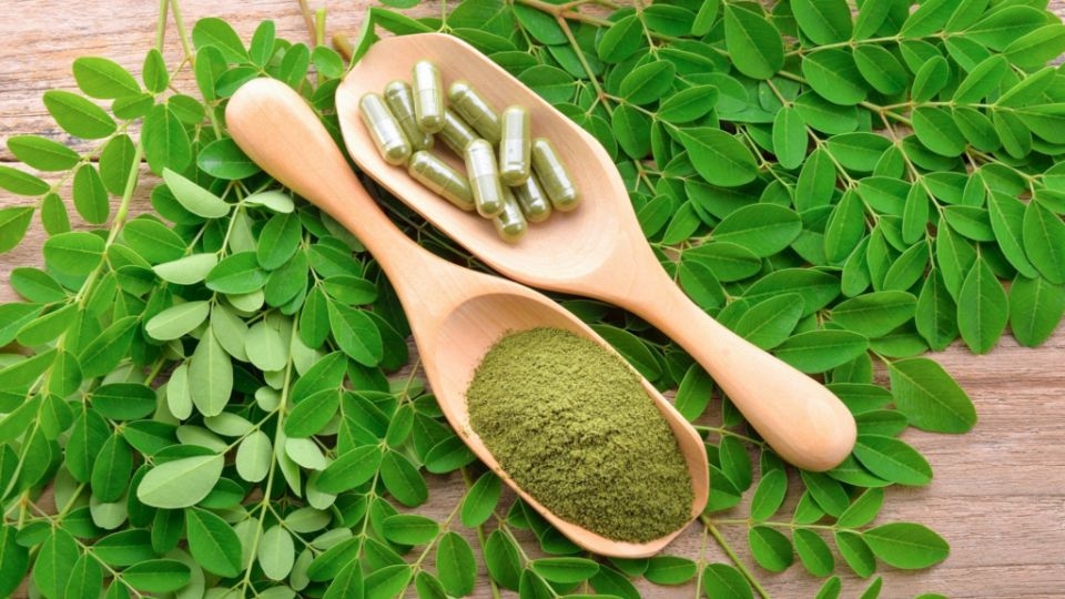 Sử dụng rau chùm ngây giúp giảm nguy cơ bệnh tim mạch.
