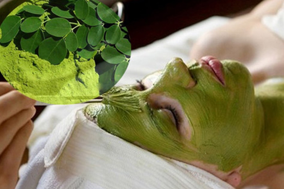 Chùm ngây được nhiều chị em lựa chọn để làm đẹp da.