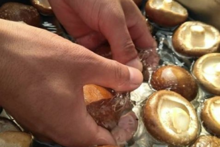 nấm bị đắng 3