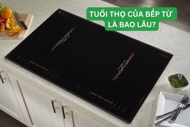 Tuổi thọ của bếp từ 1