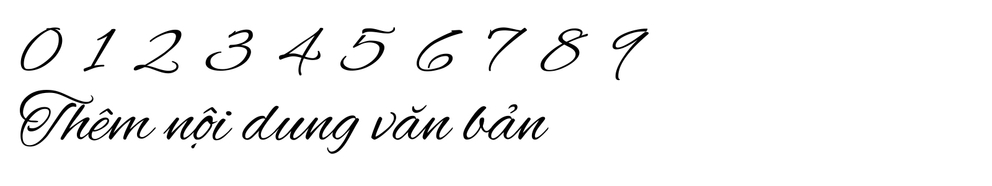 Gợi ý một số font chữ tiếng Việt miễn phí trên Canva (H8)