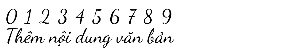 Gợi ý một số font chữ tiếng Việt miễn phí trên Canva (H11)