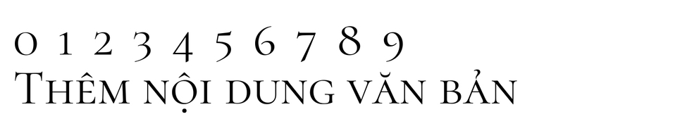 Gợi ý một số font chữ tiếng Việt miễn phí trên Canva (H3)