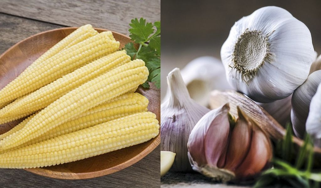 Các cách xào ngô bao tử chay đơn giản, thơm ngon, thanh đạm mà ai cũng làm được 4