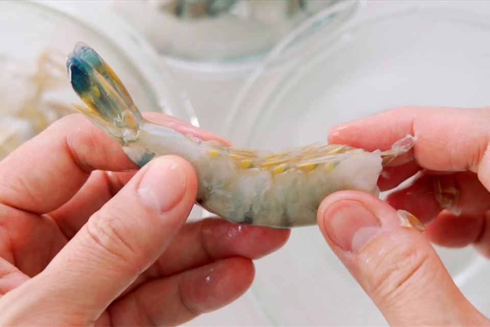 Sơ chế tôm làm nước mắm ăn bánh hỏi