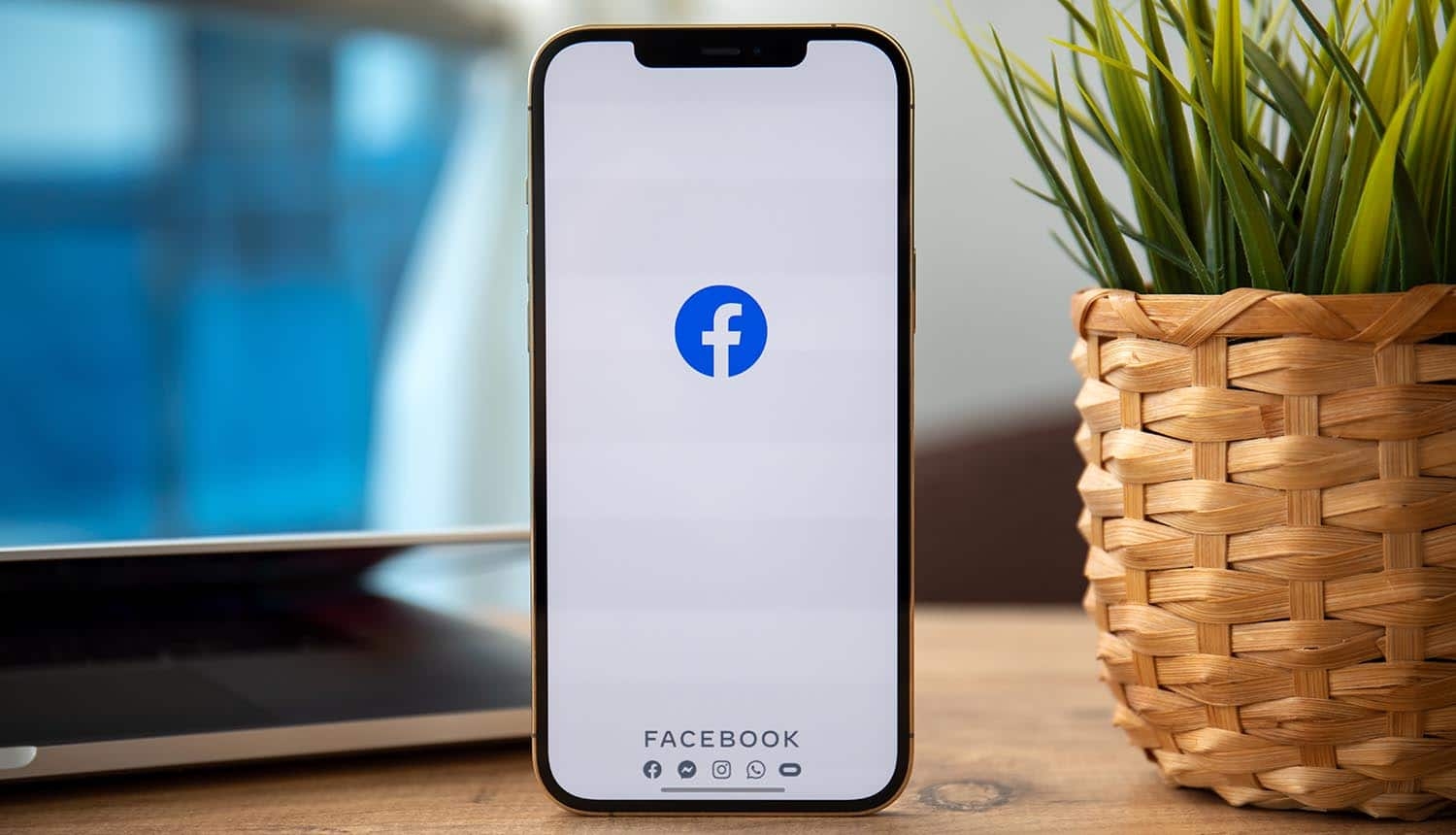 cách xem mật khẩu Facebook trên iPhone - hình 7