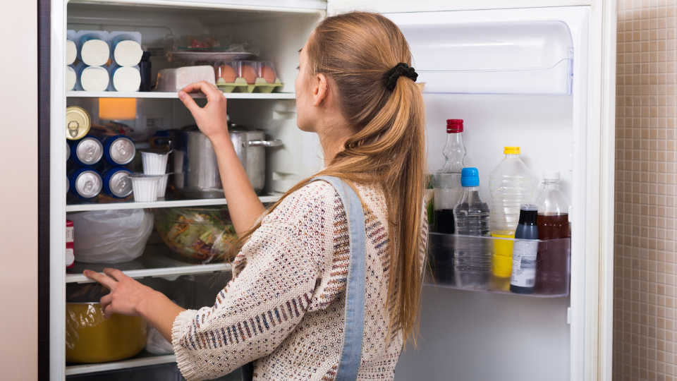 Góc giải đáp: Có nên rút tủ lạnh khi về quê? Cách tiết kiệm điện khi xa nhà  3