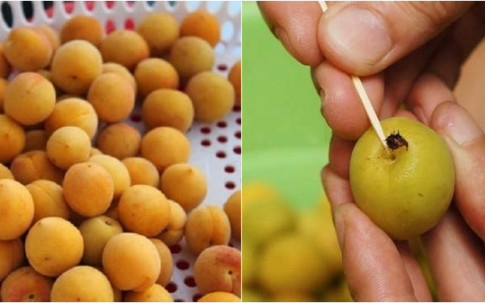 Sơ chế trái mơ bằng cách lấy cuống ra