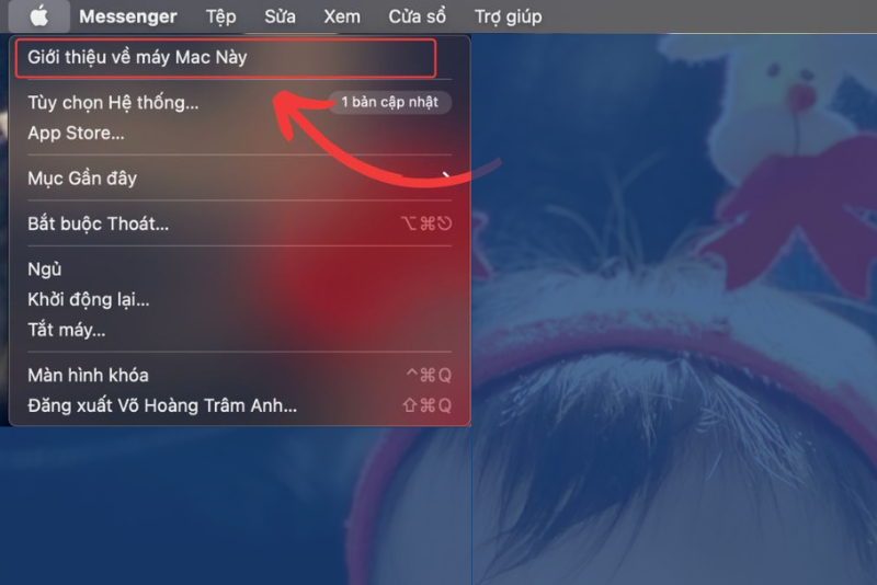 check iphone serial number (ảnh 6)