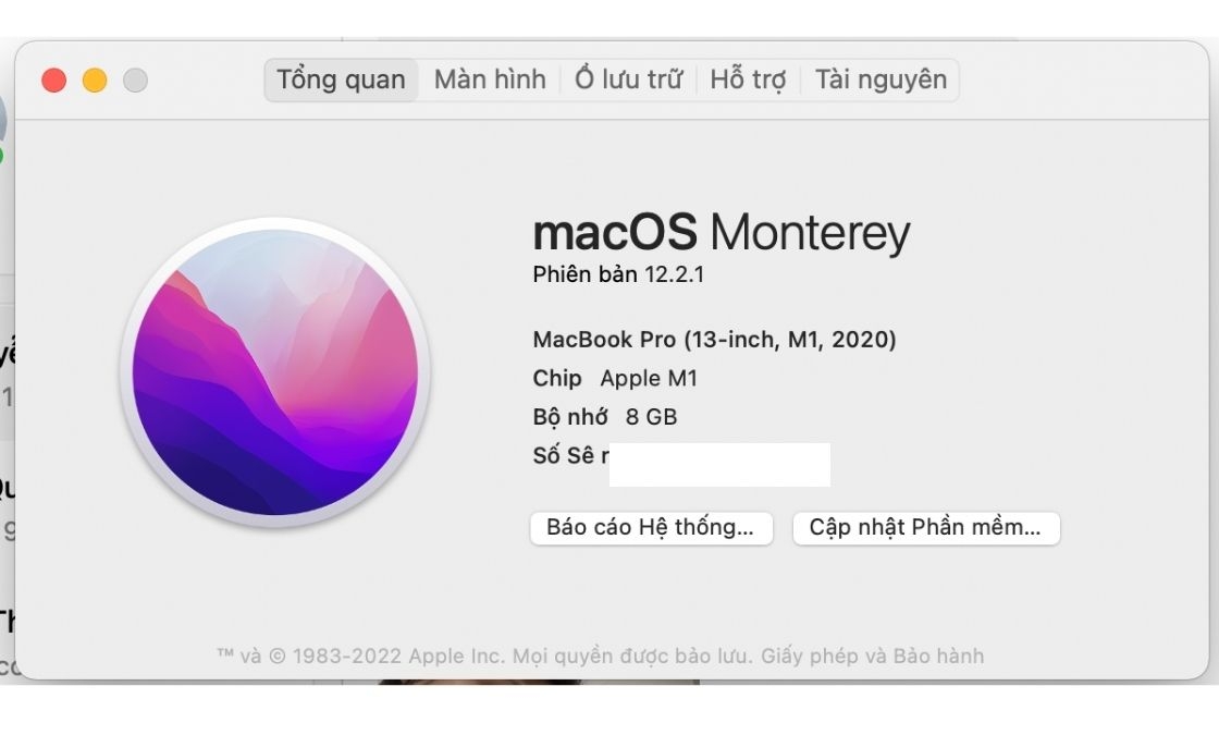 check iphone serial number (ảnh 7)