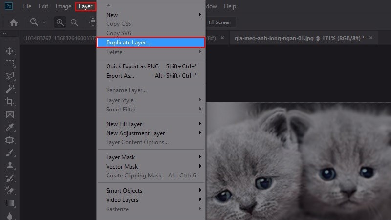 copy layer trong photoshop (ảnh 3)