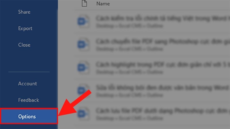 kiểm tra chính tả tiếng Việt trong Word - hình 11