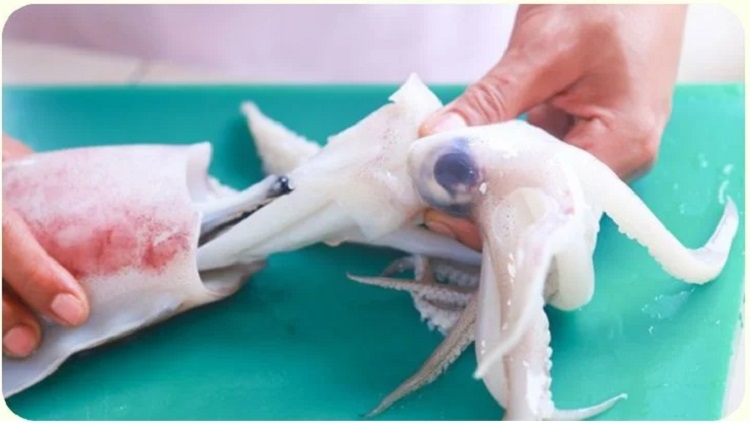 Sơ chế mực ống