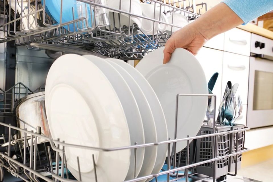 Cơ chế hoạt động của chế độ Hygiene