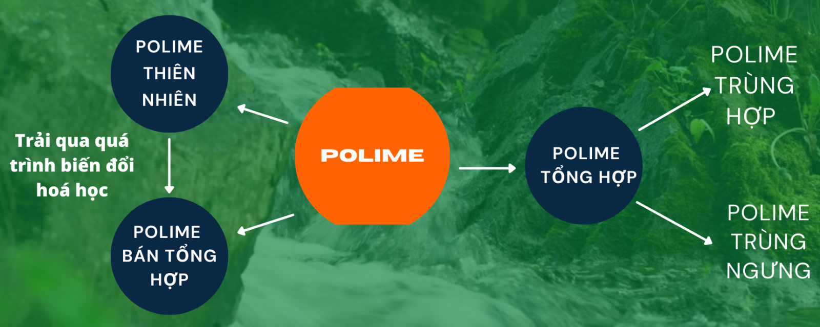 Polime là gì (ảnh 3)