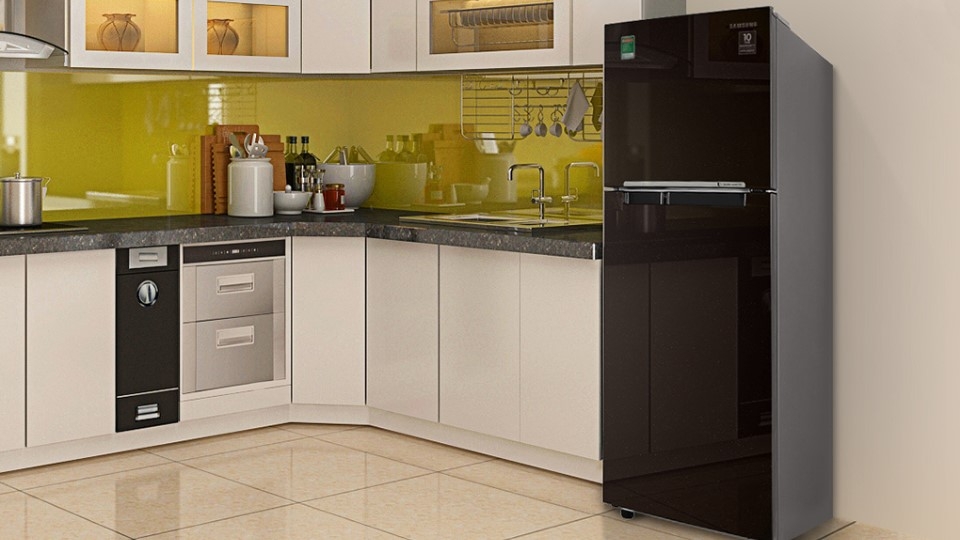 Tủ lạnh Inverter Samsung RT22M4032BY/SV