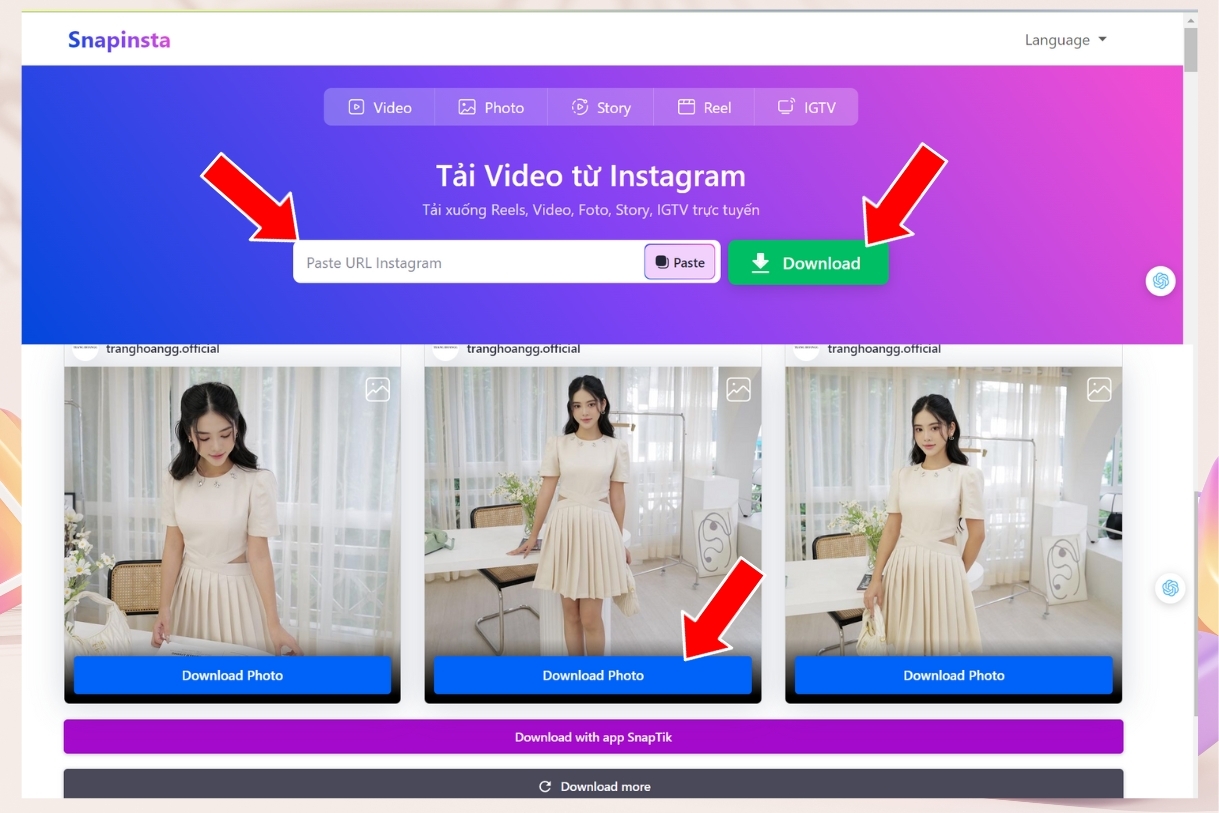 Cách tải ảnh trên Instagram bằng web Snapinsta