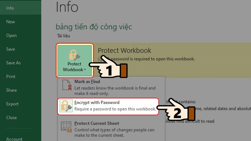 Nhấn chọn Protect Workbook > Chọn Encrypt with Password.