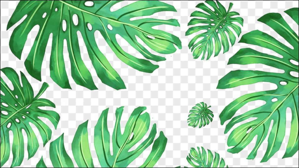Lưu trữ hình ảnh chất lượng cao