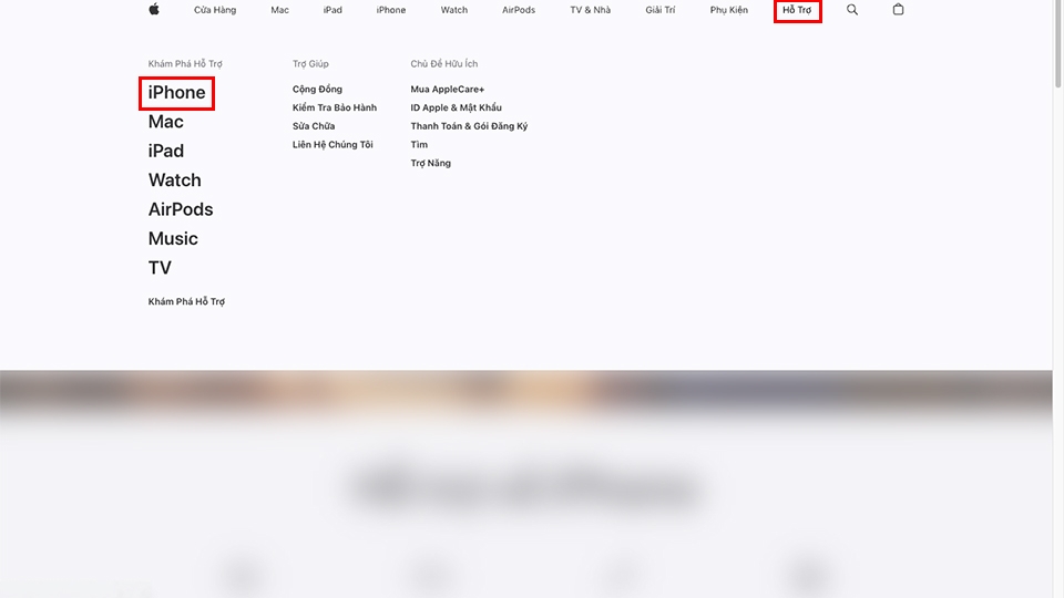 Các bước kiểm tra iPhone lock