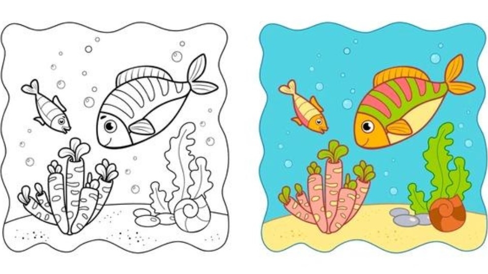 Kids Coloring Book