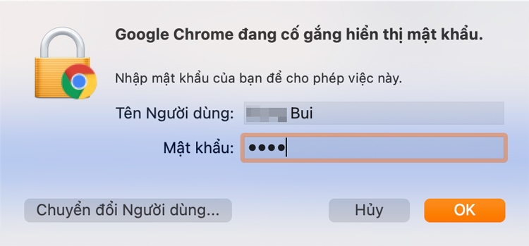 Cách xem mật khẩu đã lưu trên Google Chrome 7