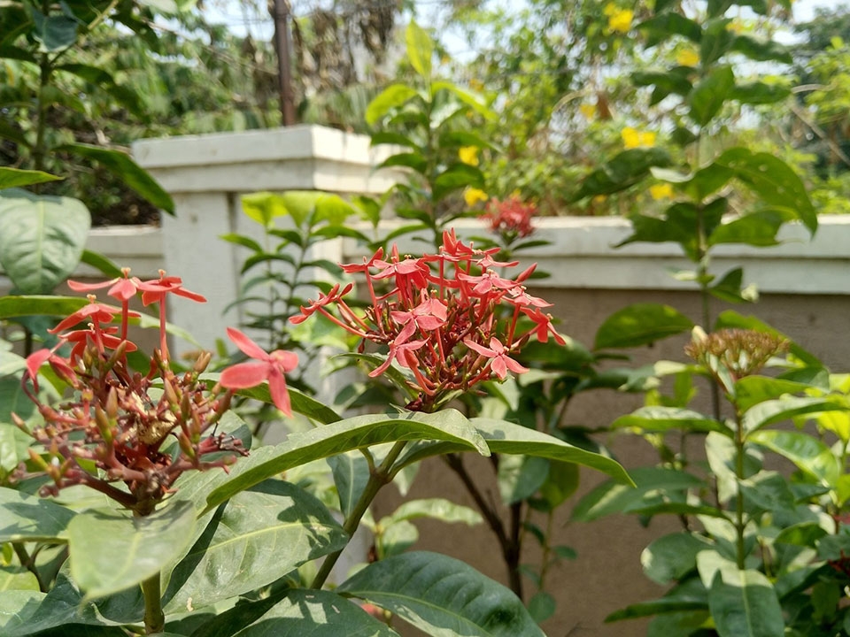So sánh Nokia 7 Plus vs OnePlus 5T So sánh Nokia 7 Plus vs OnePlus 5T