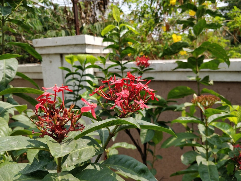 So sánh Nokia 7 Plus vs OnePlus 5T So sánh Nokia 7 Plus vs OnePlus 5T