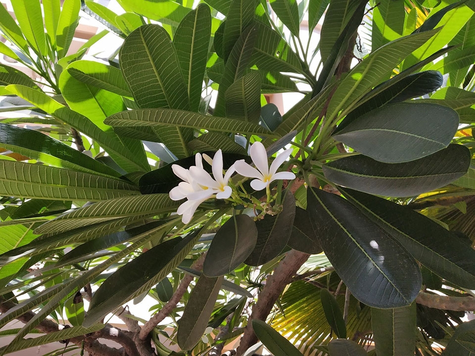 So sánh Nokia 7 Plus vs Redmi Note 5 Pro So sánh Nokia 7 Plus vs Redmi Note 5 Pro