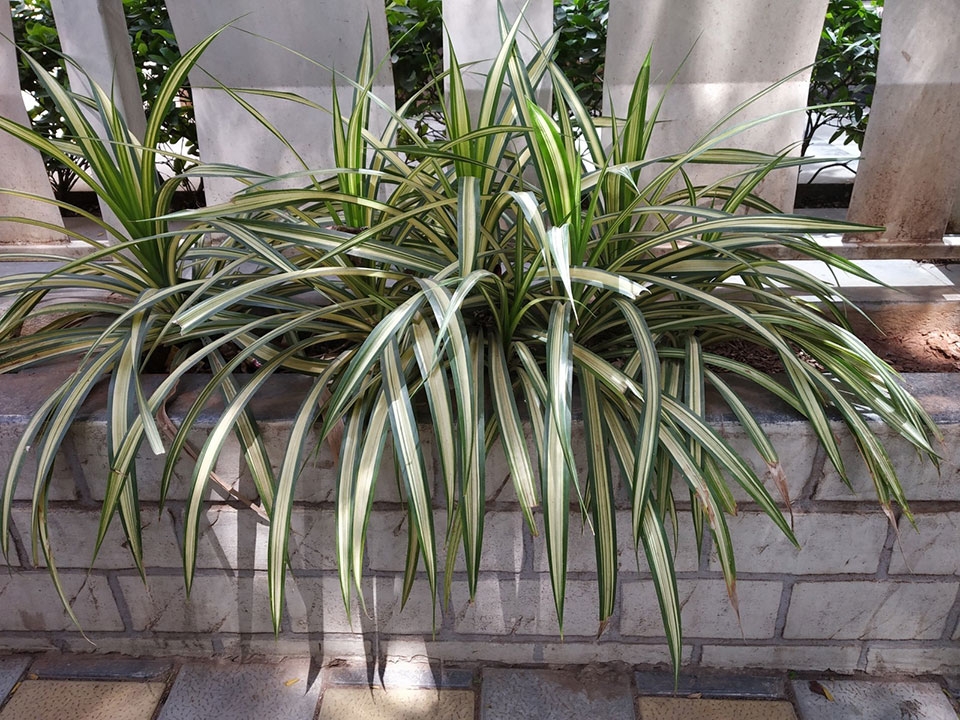 So sánh Nokia 7 Plus vs Redmi Note 5 Pro So sánh Nokia 7 Plus vs Redmi Note 5 Pro