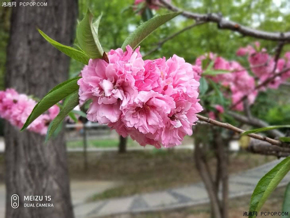 Mở hộp và đánh giá nhanh Meizu 15 Mở hộp và đánh giá nhanh Meizu 15