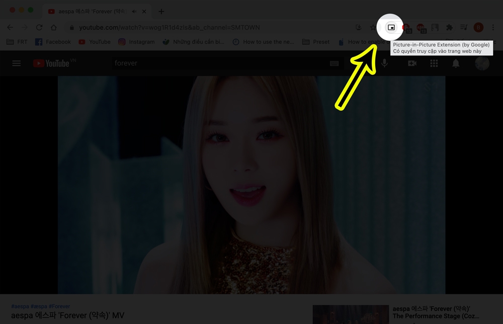 Cách cài đặt và sử dụng Picture in Picture trên Chrome 8