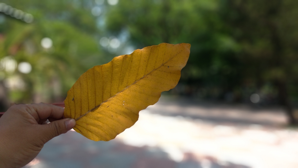Đánh giá camera Zenfone 5 12 Đánh giá camera Zenfone 5 12