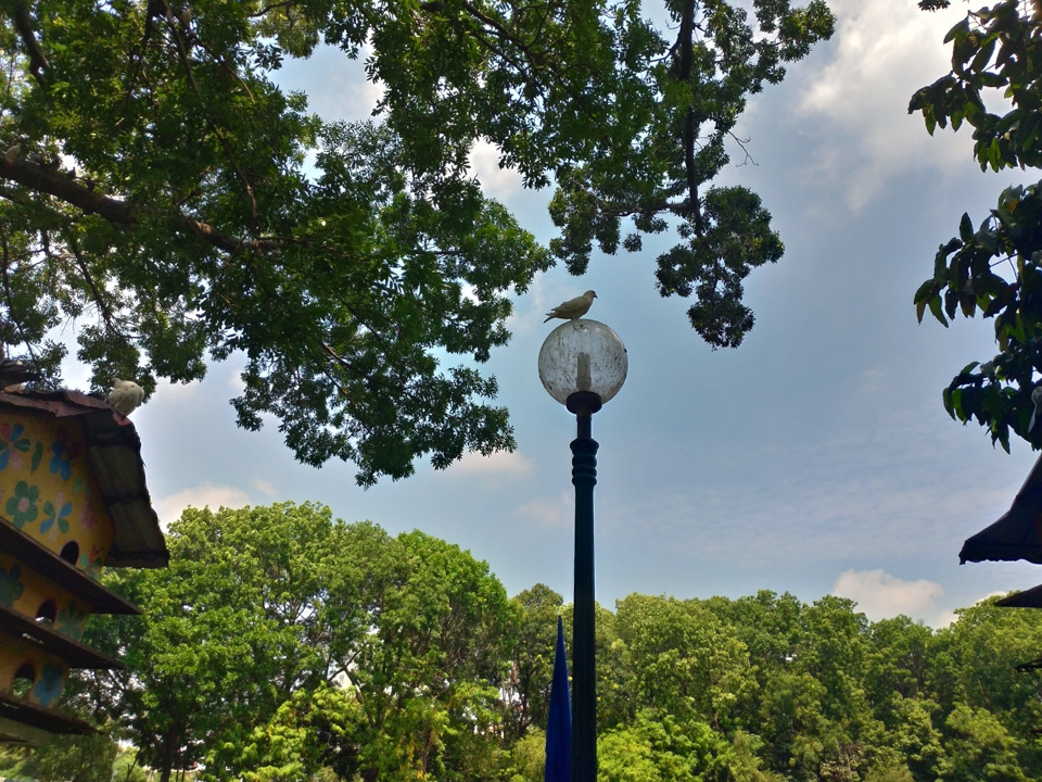 Đánh giá camera Zenfone 5 08 Đánh giá camera Zenfone 5 08